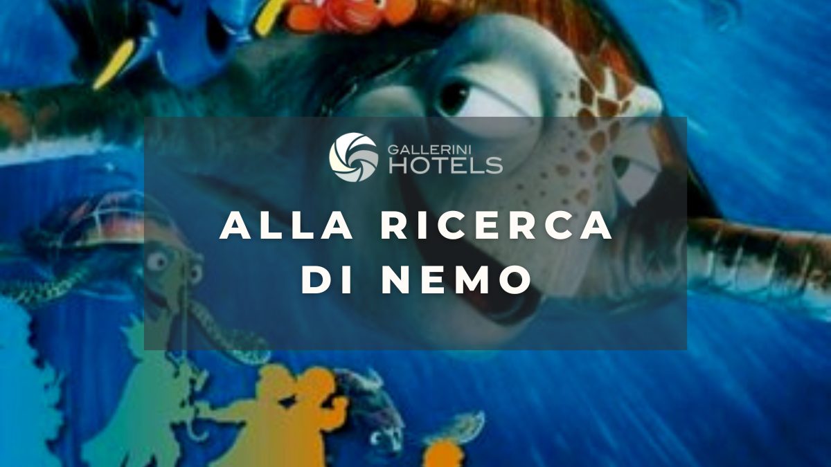 ALLA RICERCA DI NEMO